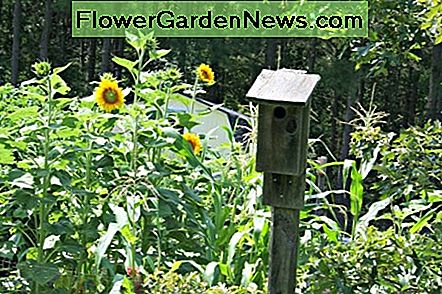 Gezonde bodems bouwen gezonde tuinen. Healthy soils build healthy gardens.
