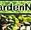 Jade Plant nah oben mit Blumen Jade Plant close up with flowers