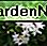 Jade Pflanzen Blumen Jade Plant Flowers