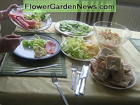 Coleslaw și salata de casă Homemade Coleslaw and Salad