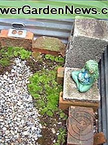 mostransplantation, foto af Relache moss transplanting, photo by Relache
