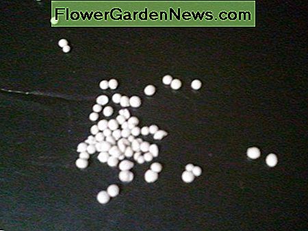 Granules d'engrais pour plantes d'intérieur Fertilizer granules for house plants
