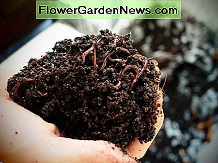 Worm Farm Compostering Worm Farm Composting
