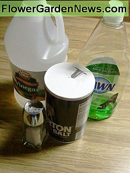 Azijn kan worden gebruikt in combinatie met andere huishoudelijke artikelen om onkruidverdelgers te maken. Vinegar can be used in combination with other household items to create weed killer solutions.