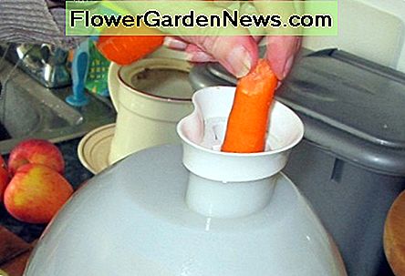 Karotten-Saft-Rezepte Carrot Juice Recipes