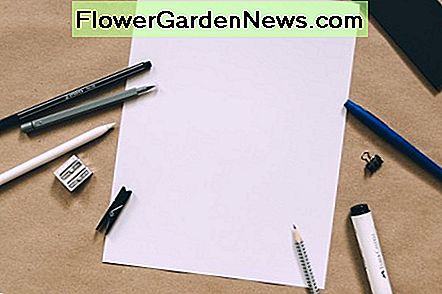 Comience redactando sus ideas en una plantilla. Start by drafting your ideas on a template.