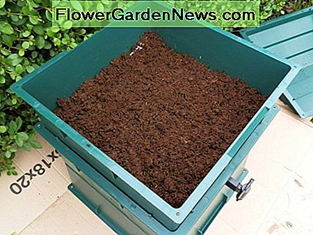 Fügen Sie die Kokos- / Bodenmischung dem Tablett hinzu add the coir/soil mix to the tray