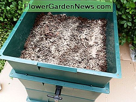 streue eine Handvoll Wurmfutter auf die Würmer sprinkle a handful of worm food on top of the worms