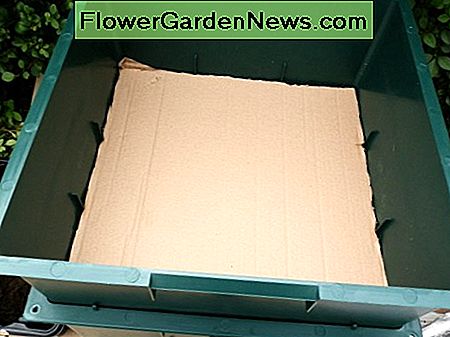 Legen Sie Pappe an der Basis des Tabletts laying cardboard at the base of the tray