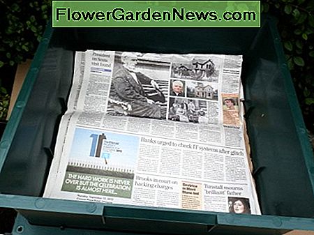 Hinzufügen von Zeitung zur Basis adding newspaper to the base