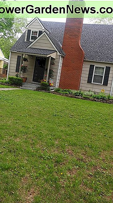 ผลิตภัณฑ์ที่น่าสนใจดึงดูดใจและน่าดึงดูดใจ The end product, an attractive and inviting curb appeal.