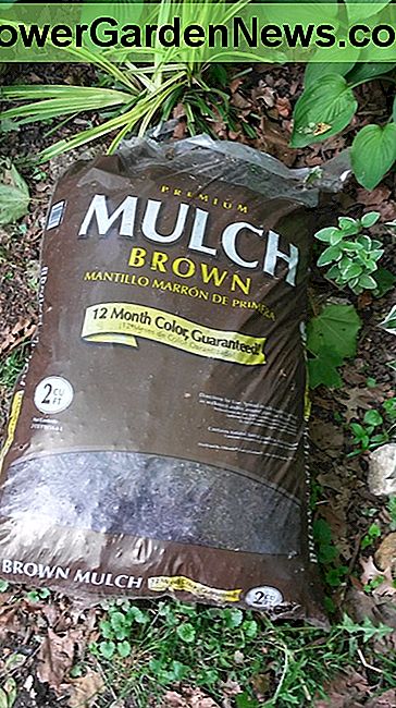 คลุมด้วยหญ้าน้ำตาล Brown mulch.