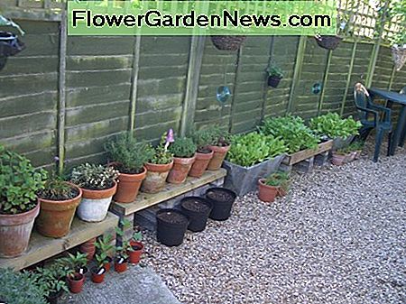 Gemüse und Kräuter in Töpfen und Behältern Vegetables and herbs in pots and containers