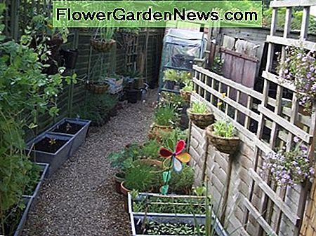 Vielzahl von Containern Variety of containers