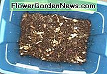 http://s232.photobucket.com/albums/ee92/lzyjo/?action=view¤t=worms007.jpg http://s232.photobucket.com/albums/ee92/lzyjo/?action=view¤t=worms007.jpg