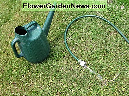 Gießkanne und Gartenschlauch. Watering can and garden hose.