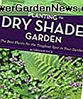Den trockenen Schatten-Garten pflanzen: Die besten Pflanzen für den härtesten Punkt in Ihrem Garten