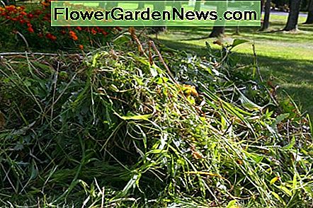 Ein Haufen Blätter, die aus dem Garten gezogen wurden - dieser Haufen wird bis zum späten Frühling reich. A pile of leaves pulled from the garden - this pile will become rich compost by late spring.
