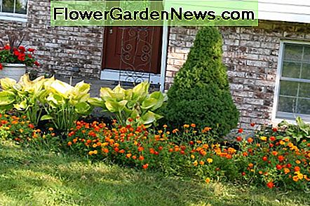 Fall Gartenarbeiten helfen Ihrem Garten schön im nächsten Frühjahr wachsen. Fall garden chores will help your garden grow beautifully next spring.