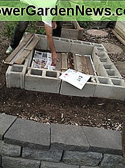 Der Zweck der Zeitung und der Pappe ist, Gras und Unkraut zu blockieren. Wir haben das verrottende Holz einfach hinzugefügt, um es zu recyceln. The purpose of the newspaper and cardboard is to block grass and weeds. We added the rotting lumber simply to recycle.