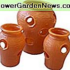 3 Stück Erdbeer Jar Pflanzer Set