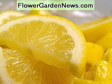 antibakteriell, antiseptisch, antiviral antibacterial, antiseptic, anti-viral