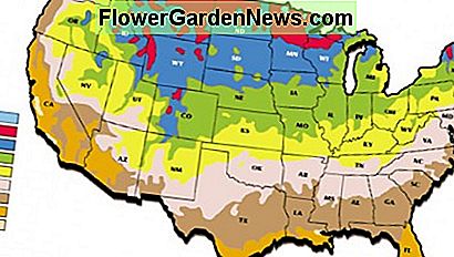 Kaip matote iš šio žemėlapio, kraujavimo širdies augalai yra atsparūs beveik visose auginimo zonose Jungtinėse Amerikos Valstijose. As you can see from this map, bleeding heart plants are hardy in almost all of the growing zones in the United States.
