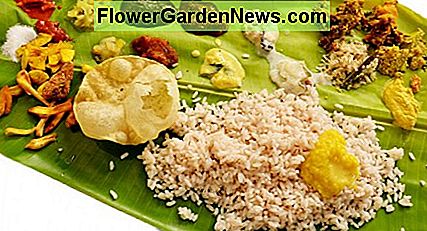 Traditionell fest serverad i bananblad Traditional feast served in banana leaf