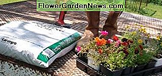 Suministros y herramientas que necesita para hacer jardineras de arranque Supplies and tools you need for making boot planters