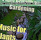 Musik für Pflanzen, Vol. 1 (Pflanzenwachstum und Gartenarbeit)