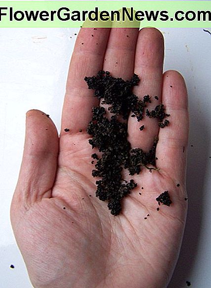 Wurmguss! Worm castings!