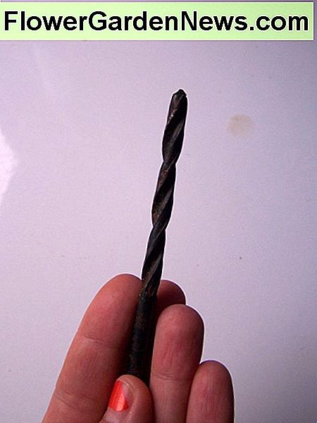 Foto des Bohrers (für Größenreferenz). Photo of drill bit (for size reference).