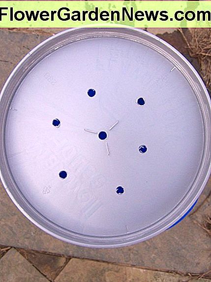 Ich bohrte ein Loch in die Mitte des Deckels und dann sechs weitere um ihn herum in einem Sechseckmuster. I drilled a hole in the center of the lid and then six more around it in a hexagon pattern.