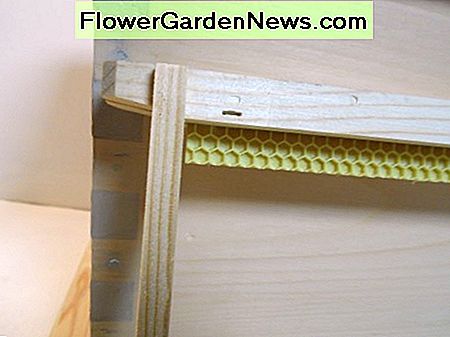 Holzrahmen mit Startstreifen der Stiftung. Wooden frame with starter strip of foundation.