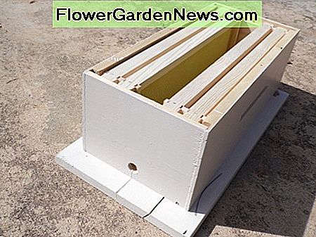 Kleine Honigbienenschwarmfalle. Small honey bee swarm trap.