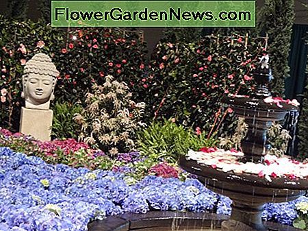 Ruhiger Garten von Chicago Flower and Garden Show 2014 Tranquil garden from Chicago Flower and Garden Show 2014