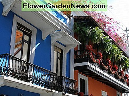San Juan, Puerto Rico Residenzen. San Juan, Puerto Rico Residences.