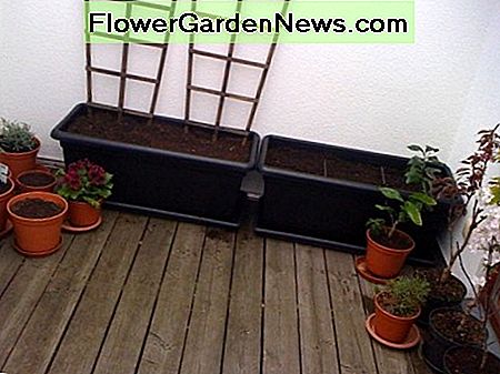 Wannen gefüllt, Pflanzen umgepflanzt, Samen gepflanzt. Tubs filled, plants re-potted, seeds planted.