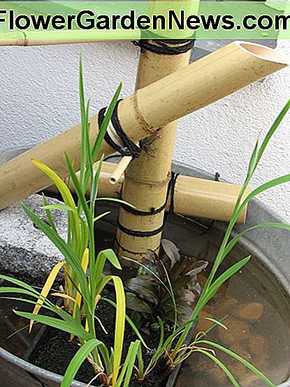 Ein kleines Feature-Creep - eine hausgemachte japanische Wasserfontäne! A little feature creep - a homemade Japanese water fountain!