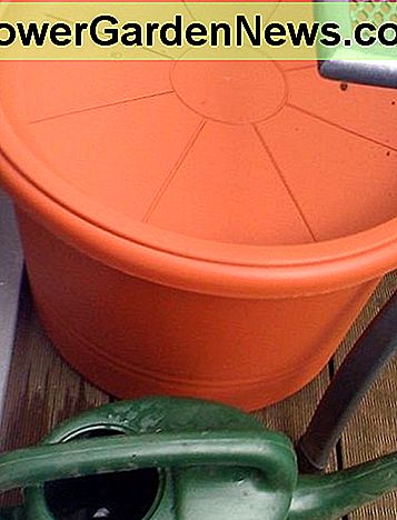 Mein Wasserkolben - ein großer, versiegelter Pflanzer und ein Tablett. My water butt - a large, sealed planter and tray.