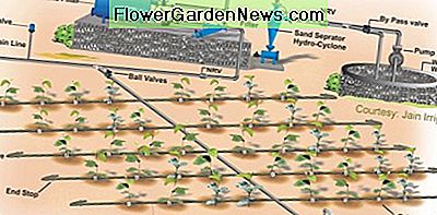 Tropfbewässerungssystem und seine Teile. Drip irrigation system and its parts.