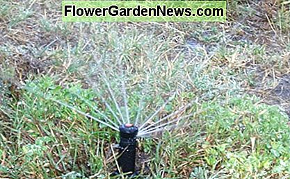 Multi-Stream-Rotor - Achten Sie darauf, dass Sie gute Wasserfilter mit solchen Düsen haben. Sie können Wasser sparen, aber leicht verstopfen. Multi-stream rotor - Be careful that you have good water filters with nozzles like these. They can save you water, but clog easily.