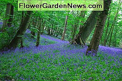 In jedem Fall erwartet Sie ein Genuss in Heather Hills Delight at every turn awaits those who take a wander at Heather Hills