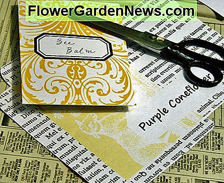 Seed-Paket-Vorlagen von JustSomethingIMade.com sind farbenfroh und einfach zu skalieren. Seed packet templates from JustSomethingIMade.com are colorful & easy to resize.