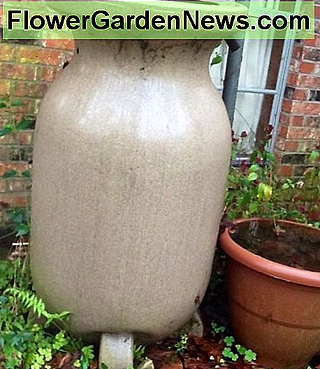 Lietaus barelis Rain Barrel