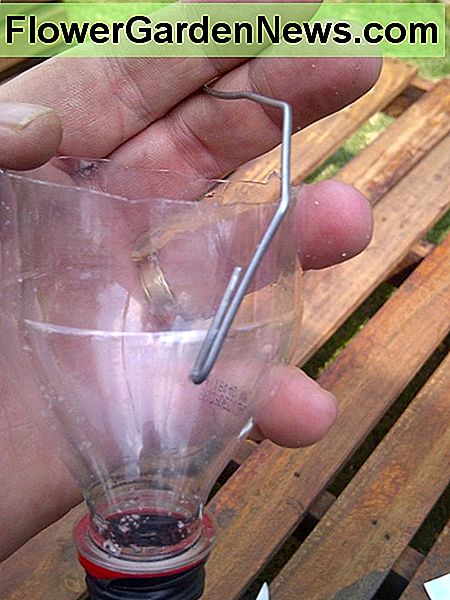 Buteliuką pritvirtinkite prie vandens vamzdžio. Use some wire to fasten the bottle to the water pipe.