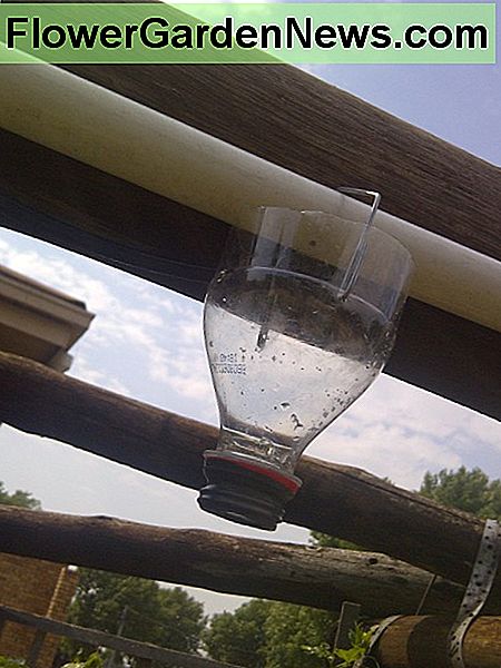 1/2 l buteliuko pakabinimas ant vandens vamzdžio su nedideliu gręžtuvu. Hanging the 1/2 lt bottle onto a water pipe with a small hole drill in it.