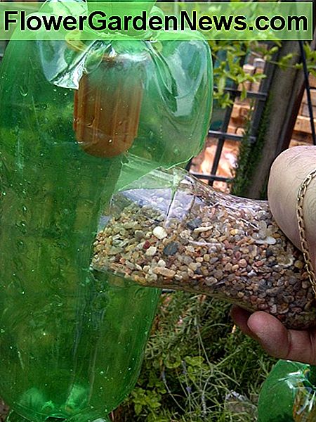 Į bet kurį buteliuką įpilkite šiek tiek žvyro, tik padarys kaklą. Putting some gravel into the bottle, only the neck will do.