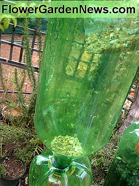 Gerti buteliuko apačią Gravel in the bottom of the bottle