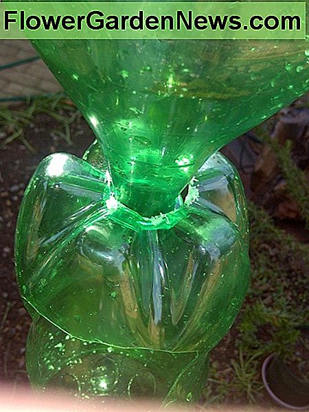 Įdėta buteliukai be dangtelio The inserted bottles without a cap